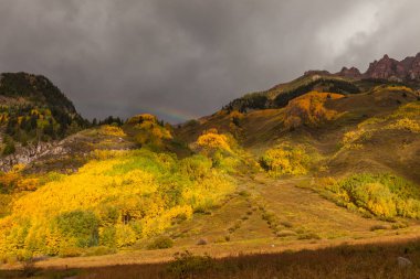 Colorado sonbahar manzara