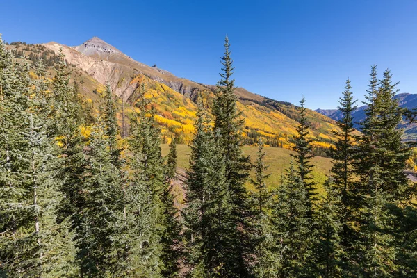 Colorado Fall landscape — Stock Photo, Image