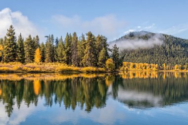 Doğal sonbahar yansıma