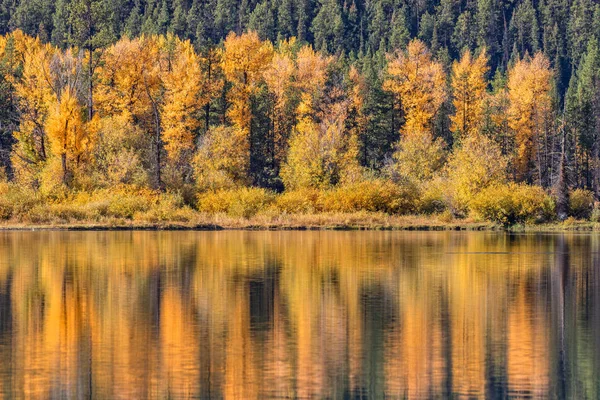 Reflexión escénica de otoño —  Fotos de Stock