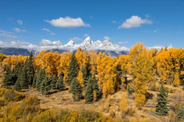 Teton manzara Güz