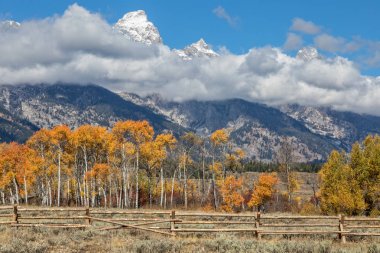 Teton manzara Güz
