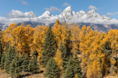 Teton manzara Güz