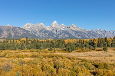 Teton sonbahar manzara