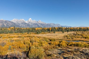 Teton sonbahar manzara