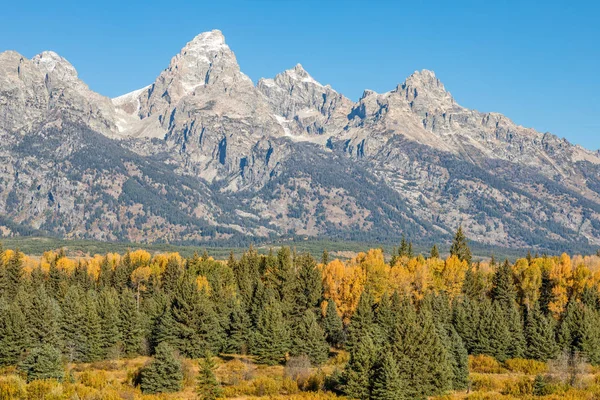 Teton jesień krajobraz — Zdjęcie stockowe