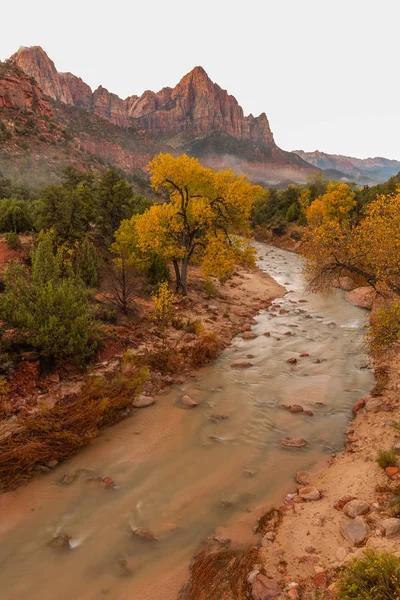 Virgin River Zion National Park in Autumn — Stock Photo, Image