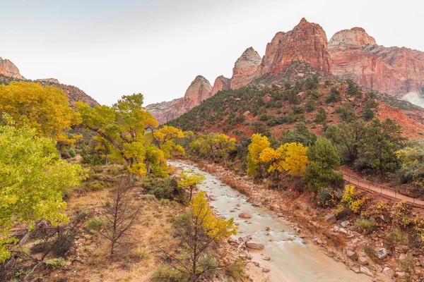 Virgin River Zion National Park in Autumn — Stock Photo, Image