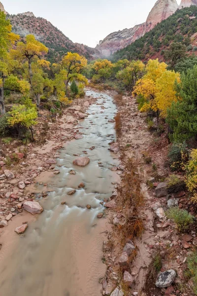 Virgin River Zion National Park in Autumn — Stock Photo, Image