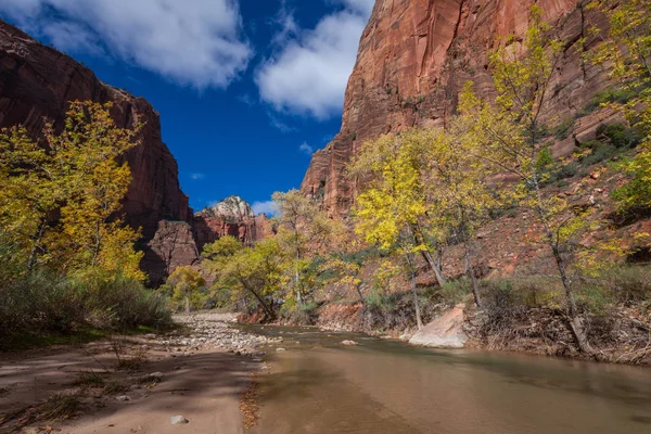 Autumn in Zion National Park — Stock Photo, Image