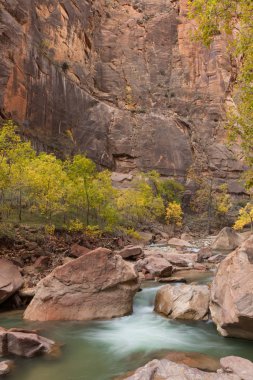 Virgin River Zion National Park Güz