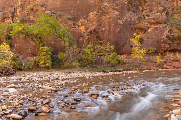 Virgin River Zion National Park in Fall — Stock Photo, Image