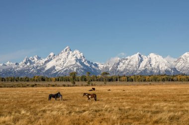 dağ gölü gündoğumu