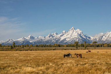 dağ gölü gündoğumu