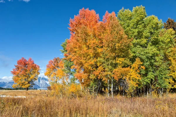 Teton Autunno paesaggio — Foto Stock