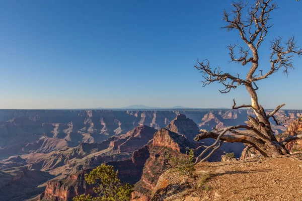 Paisaje Escénico Del Gran Cañón Del Borde Norte — Foto de Stock