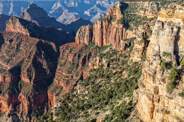 Het Schilderachtige Landschap Van Grand Canyon North Rim — Stockfoto