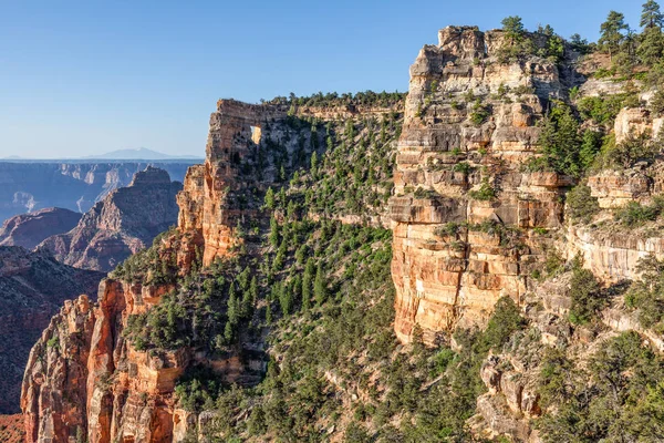 North Rim Grand Canyon Landschap Angel Venster — Stockfoto