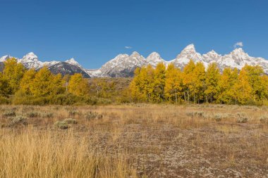 Tetons doğal bir sonbahar manzara 