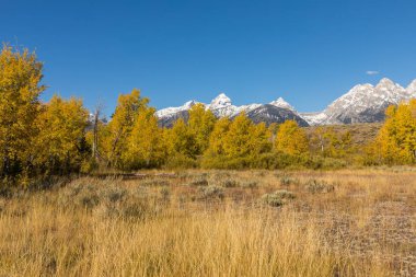 Tetons doğal bir sonbahar manzara 
