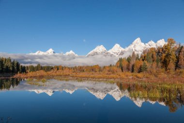Teton aralığı Wyoming bir doğal sonbahar yansıma