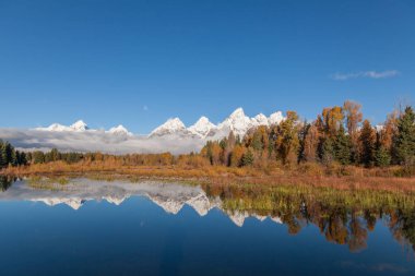 Teton aralığı Wyoming bir doğal sonbahar yansıma