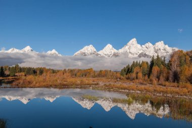 Teton aralığı Wyoming bir doğal sonbahar yansıma