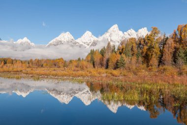 Teton aralığı Wyoming bir doğal sonbahar yansıma
