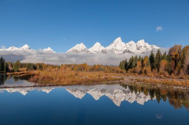 Teton aralığı Wyoming bir doğal sonbahar yansıma