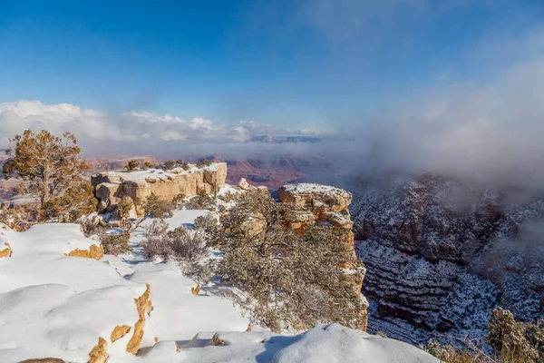 Neve Coberto Grande Canyon Paisagem Borda Sul Inverno — Fotografia de Stock