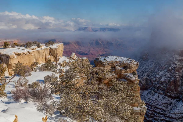 Paysage Hivernal Pittoresque Bord Sud Grand Canyon — Photo