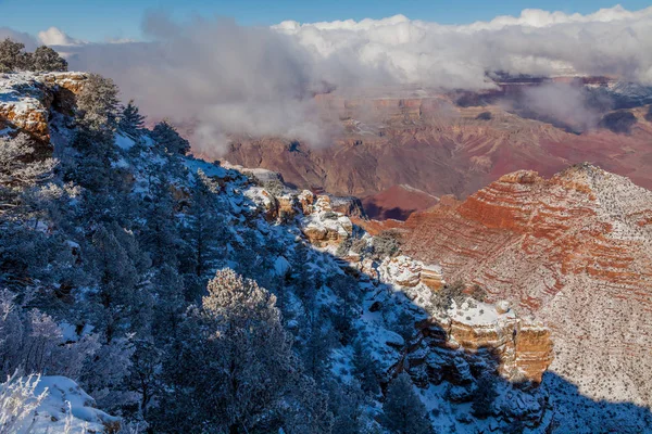 グランドキャニオンの南縁の風景冬の風景 — ストック写真