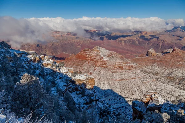 Paysage Hivernal Pittoresque Bord Sud Grand Canyon — Photo