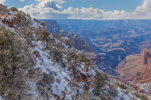 Schilderachtige Winterlandschap South Rim Van Grand Canyon — Stockfoto