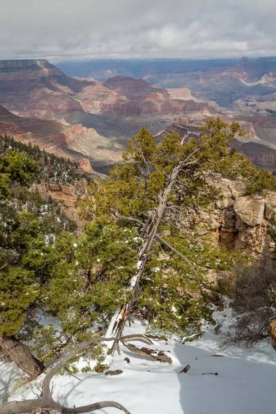 Het Schilderachtige Landschap Van Grand Canyon Winter — Stockfoto