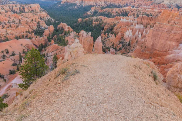 Krajobraz Sceny Utah Park Narodowy Bryce Canyon — Zdjęcie stockowe