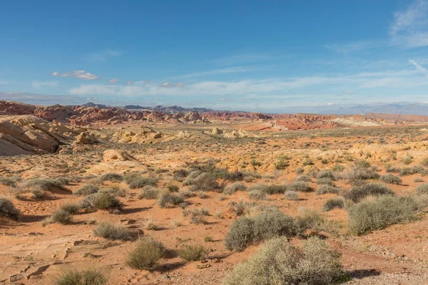 Paysage Pittoresque Vallée Feu Parc National Nevada — Photo