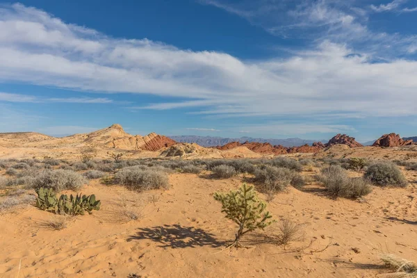 Yangın devlet parkı Nevada Vadisi doğal peyzaj