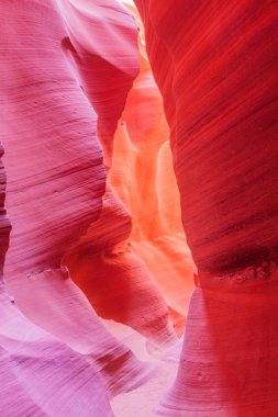 antilop Kanyonu Page Arizona yakınlarında bir yuvası Kanyon doğal peyzaj