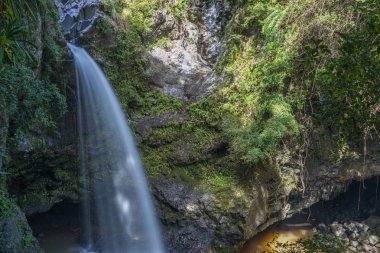 Maui Adası manzaralı bir şelale