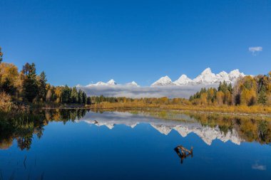karlı Tetons doğal bir yansıması Güz