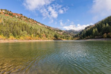 sonbaharda snake river canyon Idaho sahne peyzaj