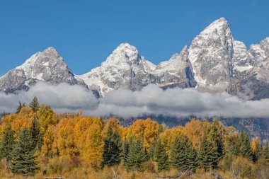 sonbaharda tetons doğal peyzaj