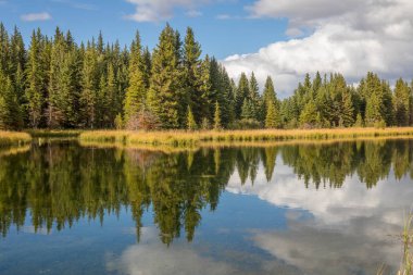 sonbaharda Tetons bir doğal yansıma manzara