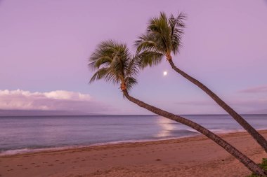 gündoğumu dolunay ile Maui kumsalda