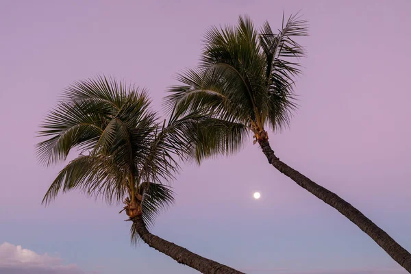 在黎明时分的毛伊岛海滩上满月 — 图库照片