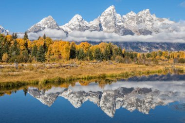 Tetons 'da manzaralı bir sonbahar yansıması manzarası