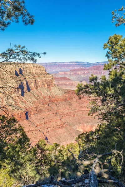 Paysage Pittoresque Grand Canyon Depuis Bord Sud — Photo