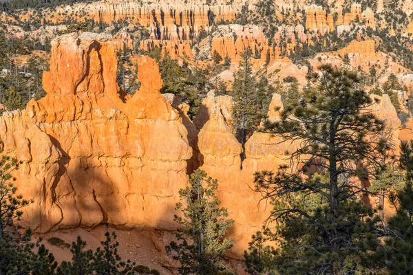 Eine Malerische Winterlandschaft Bryce Canyon Utah — Stockfoto