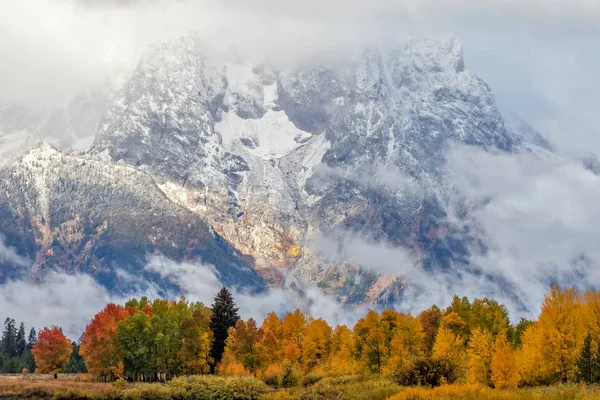 Ett Naturskönt Höstlandskap Tetons Wyoming — Stockfoto